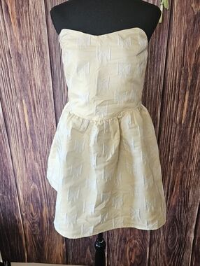 Altar'd State Bow Embroidered Strapless Mini Dress Size XL